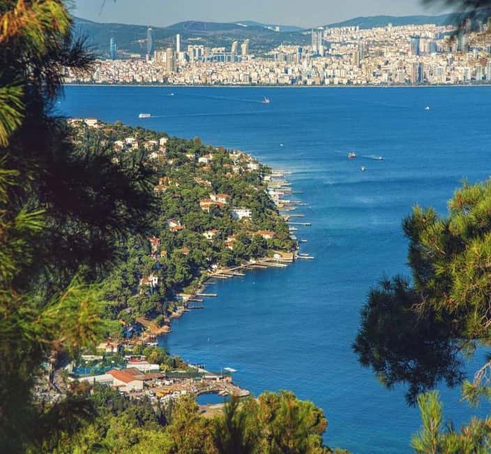 Princes Island Full Day Tour with Lunch - Arriving among Büyükada’s wooden mansions