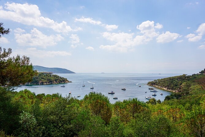 Princes' Islands Cruise with Lunch and Transfer Full-Day Tour - Why the Princes’ Islands Make a Good Day Trip