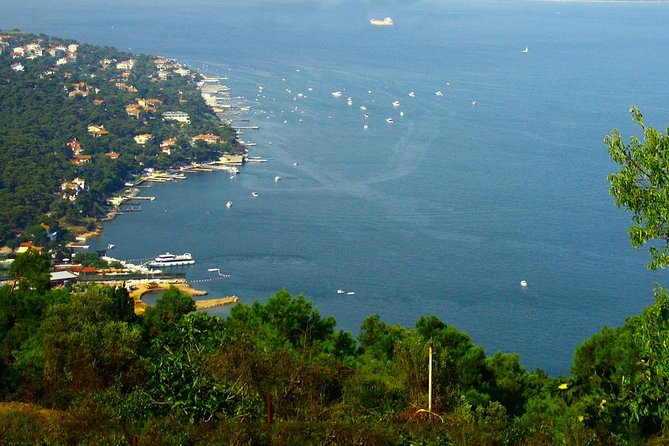 Princes' Islands Tour from Istanbul - Key Points Before You Book