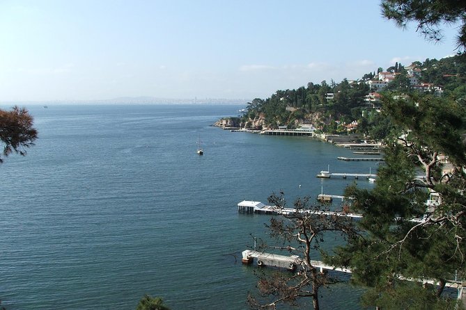 Princes' Islands Tour from Istanbul - Buyukada Tabiat Parki and the Main Island Visit