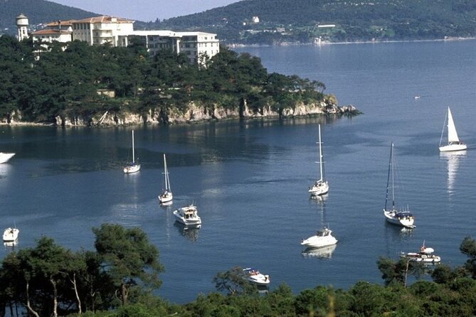 Princes Islands Tour WITH Private Boat, optional Pickup & Lunch - Lunch: Convenient, but Watch the Drink Prices