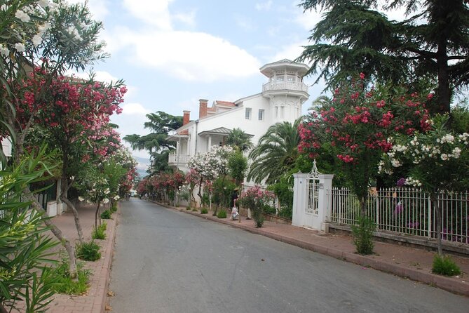 Princes Islands Tour WITH Private Boat, optional Pickup & Lunch - Returning to Istanbul and the Leather Shop Option