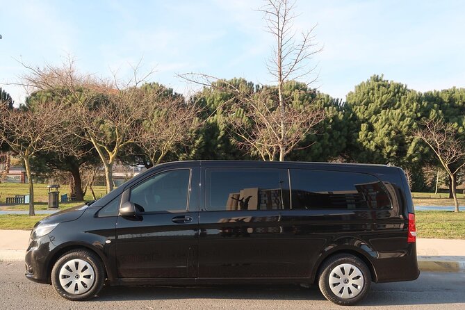Private Airport Transfer in Istanbul - Is $79.50 Good Value for Your Group?