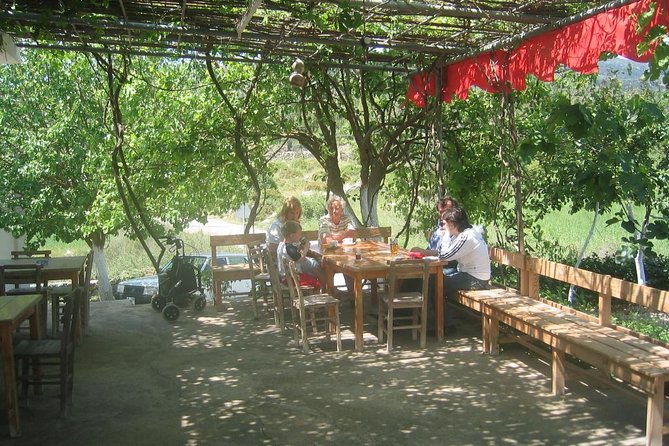 Private Bodrum Village Tour + 1 Glass Free Local Wine - Why leave Bodrum’s center for a village?
