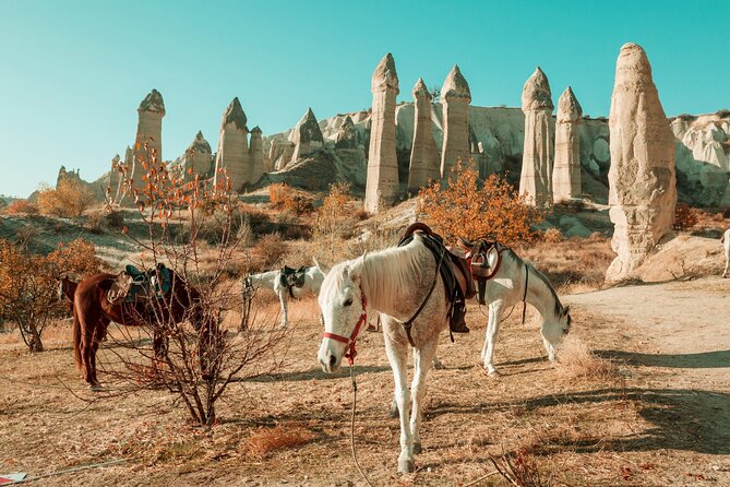 Private Day Trip to Cappadocia from Istanbul - Why this private day trip works from Istanbul