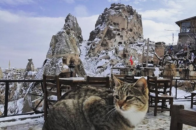 Private Day Trip to Cappadocia from Istanbul - Goreme Open-Air Museum and its cave churches