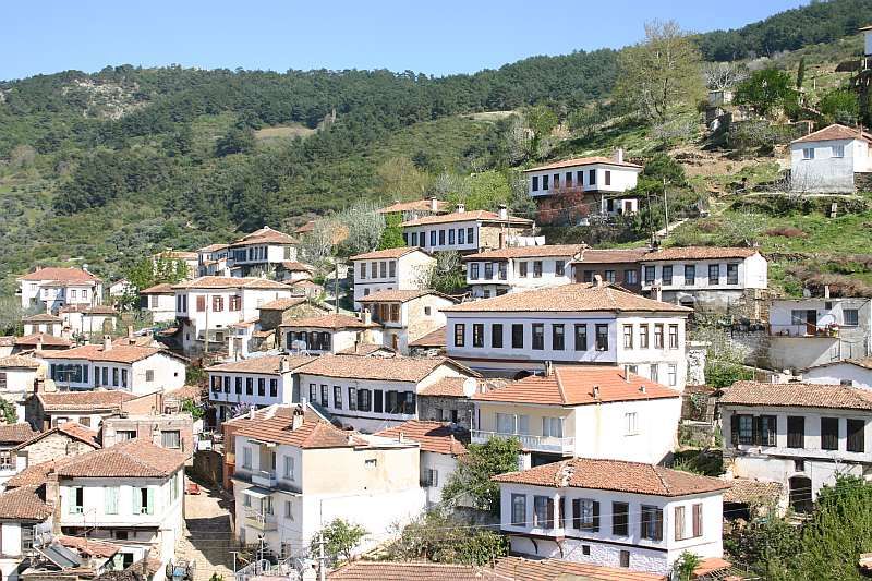 Private Ephesus, Terrace Houses & Sirince Village Tour - Meeting your guide at the port or hotel
