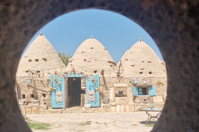 Private Gobeklitepe Tour from Istanbul by Plane - The private guide and group experience