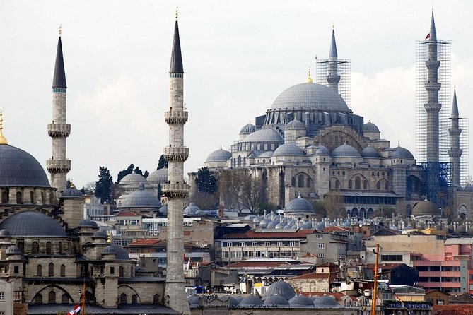 Private Guided Istanbul Day Tour - Why a private guide helps in Istanbul