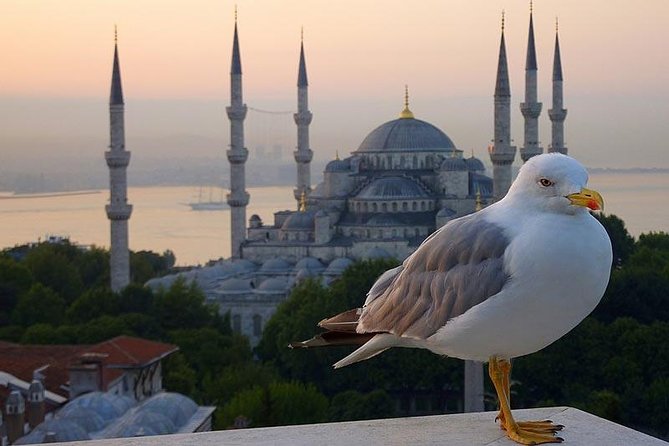 Private Istanbul Layover Tour From Airport - Sultanahmet District and the Blue Mosque