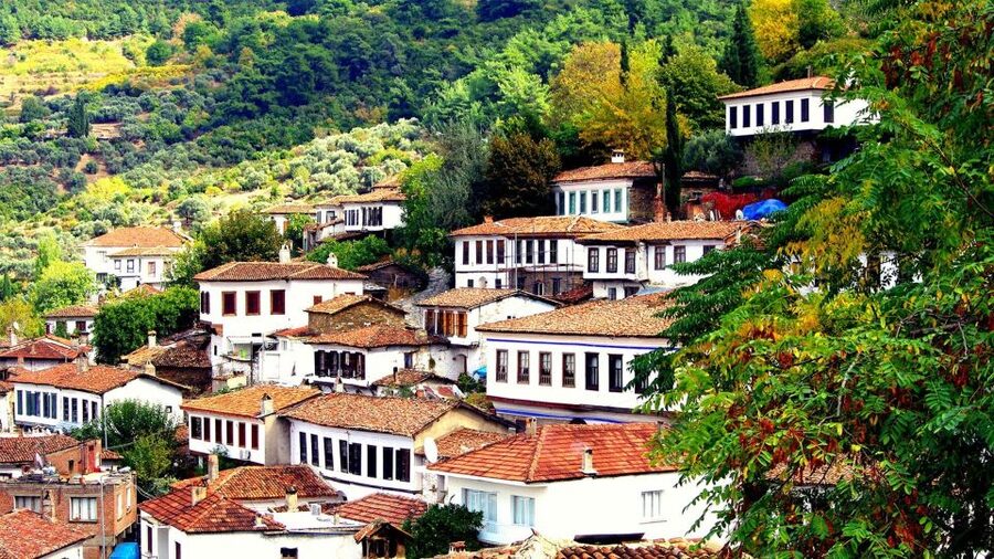 Private Sirince Village Tour From Kusadasi Port Cruiser Only - Timing the day around your ship