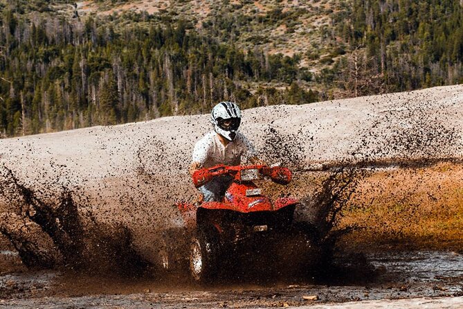Quad Safari Experience in Alanya (Adventure Tour) w/ Free Hotel Transfer - Guides, group control, and safety
