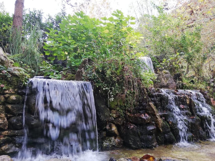 Sapanca & Masukiye Full-Day Tour with Lunch and Transfers - Why Sapanca makes a good break from Istanbul