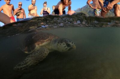 Sarigerme: Dalyan, Turtle Beach, Mud Bath, & King Tombs Tour