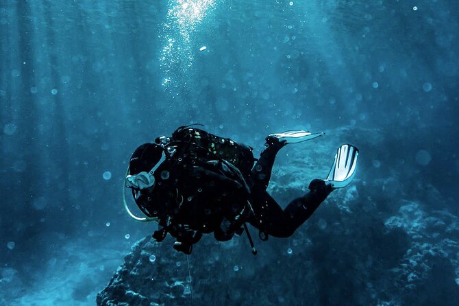 Scuba Diving Experience in Alanya With Lunch and 2 Dives - What makes this Alanya boat day worth considering