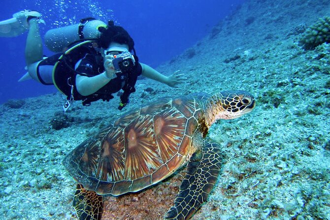 Scuba Diving Experience in Alanya With Lunch and 2 Dives - Lunch and the non-diver option