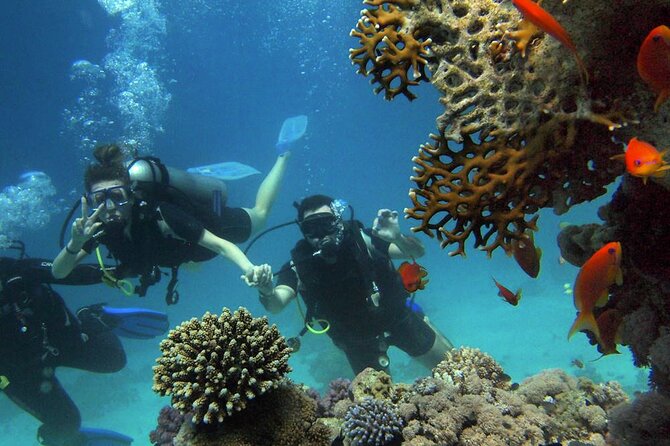 Scuba Diving Experience in Alanya With Lunch and 2 Dives - Training before your first underwater session