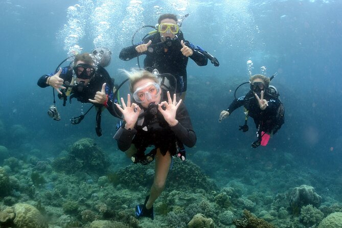 Scuba Diving in Antalya from Antalya & Kemer - What the group size means in practice