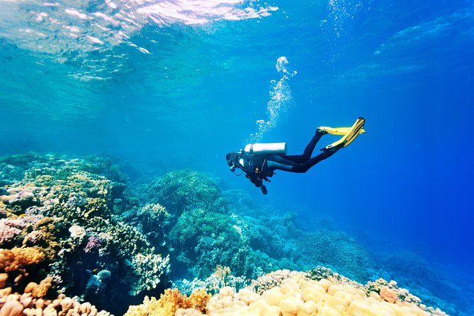 Scuba Diving Tour in Bodrum - Bodrum’s warm, clear water