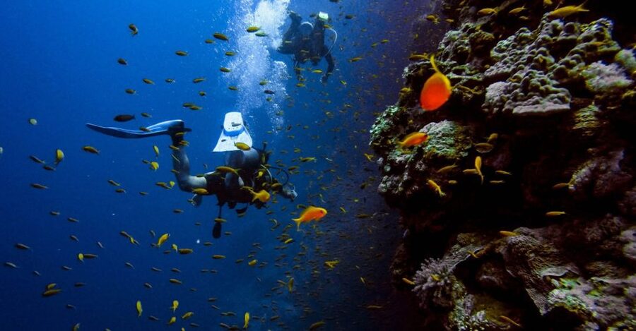 Scuba Diving Tour with Transfer From Alanya and city of Side - Safety, weather, and the limits of the plan