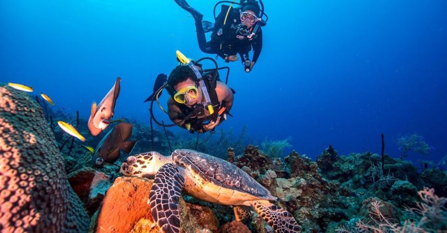 Scuba Diving Tour with Transfer From Alanya and city of Side - Training and supervision for first-time participants