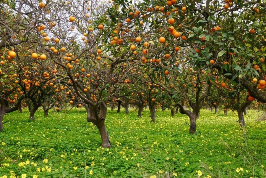 Side:Green Lake Mix Tour - A Day of Nature History & Culture - Why this $39 tour offers good value
