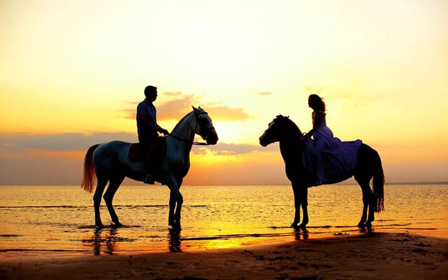 Side: Horseback Riding Tour in Nature - A different way to see Side