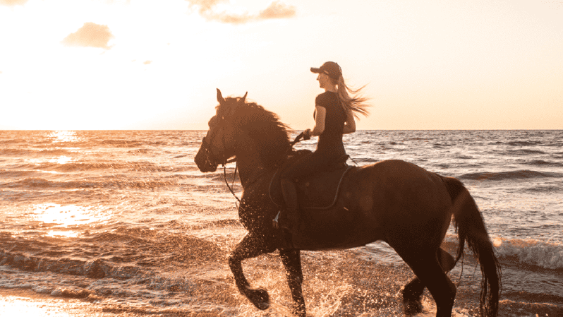 Side: Horseback Riding Tour in Nature - Learning the basics before mounting up