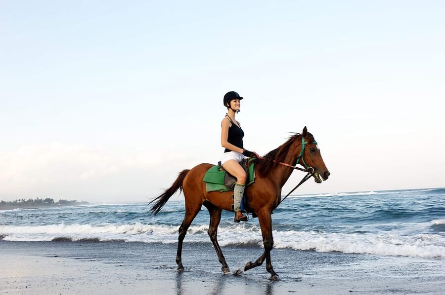 Side: Horseback Riding Tour in Nature - The horses and the standard of care