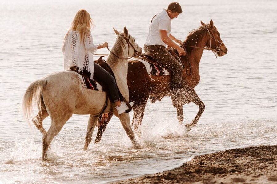Side: Horseback Riding Tour in Nature - Language, timing, and cancellation flexibility