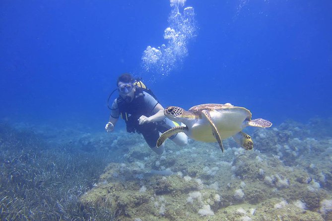 Side: Scuba Diving Under Water Museum - Leaving Side Harbour at 8:30 am