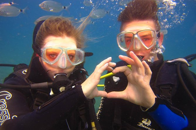 Side: Scuba Diving Under Water Museum - Two sessions at the Underwater Museum
