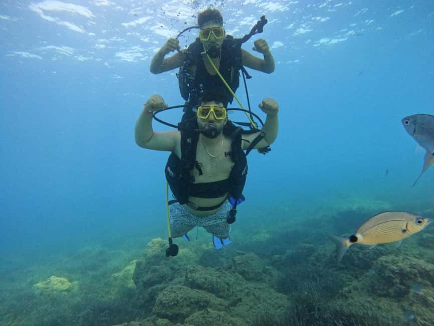 Side: Scuba Diving & Under Water Museum with Hotel Transfer - The underwater museum gives the trip its identity