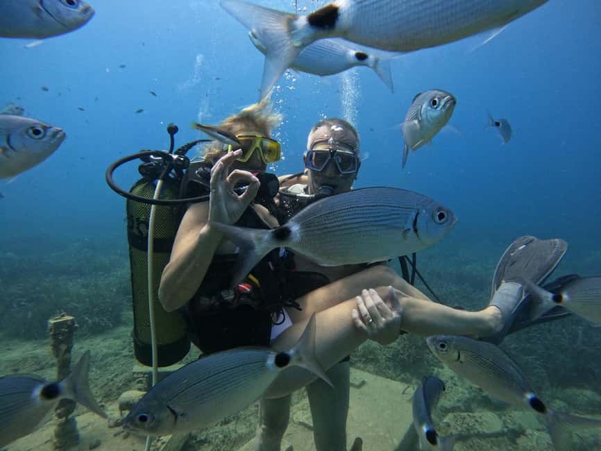 Side: Scuba Diving & Under Water Museum with Hotel Transfer - What the $40 price really includes