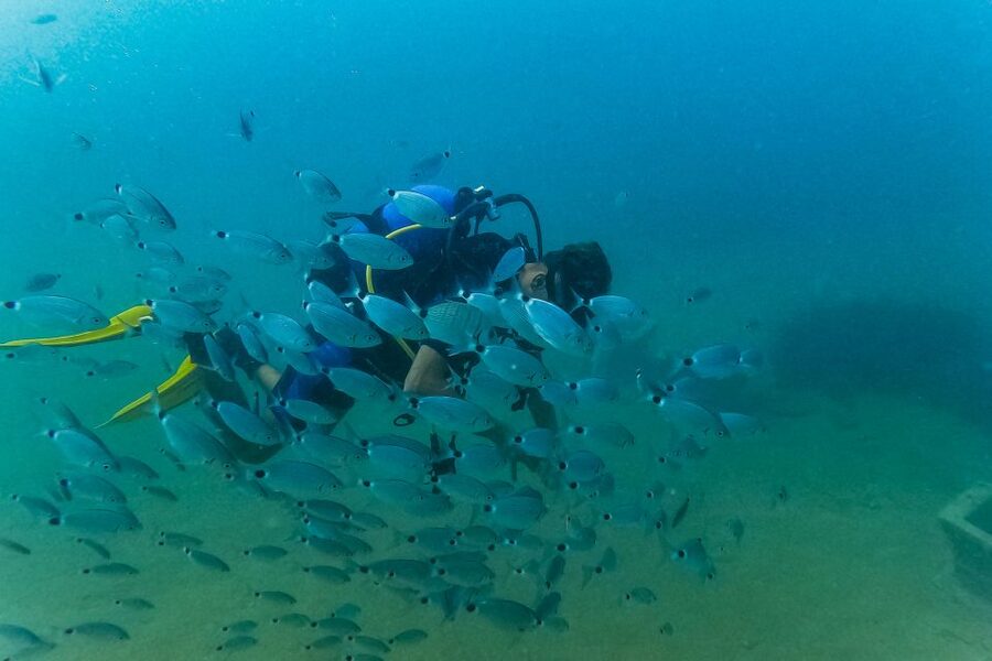 Side: Scuba Diving, Underwater Museum, 2 Dives incl. Lunch - Who should book this Side excursion?