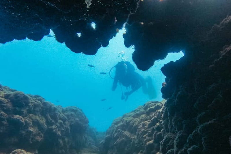 Side: Scuba Diving, Underwater Museum, 2 Dives incl. Lunch - The first site and the Eastern Mediterranean water
