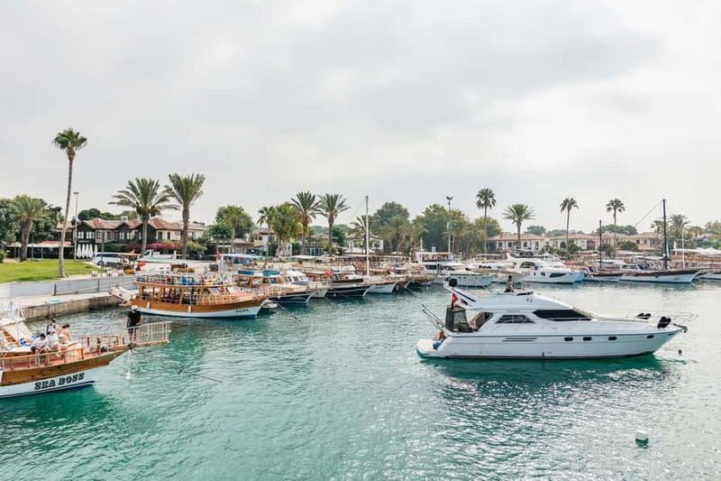 Side: Scuba Diving, Underwater Museum, 2 Dives incl. Lunch - Is $49 a fair price?