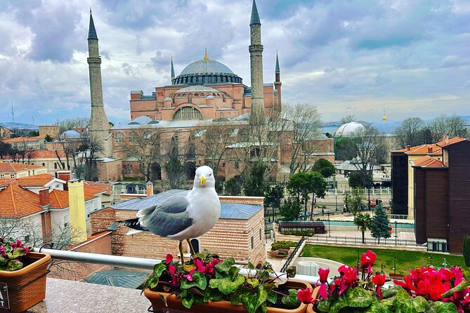 Skip Lines with Local Tour Guide Taha - Key points to know before booking