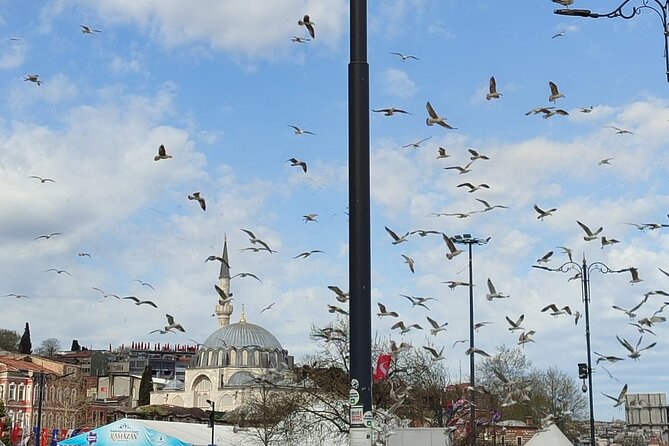 Skip Lines with Local Tour Guide Taha - Topkapı Palace, four courtyards and a costly extra