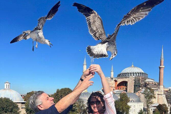 WONDERS of ISTANBUL: PRIVATE Full-Day Guided City Tour - Why this private Istanbul tour works well